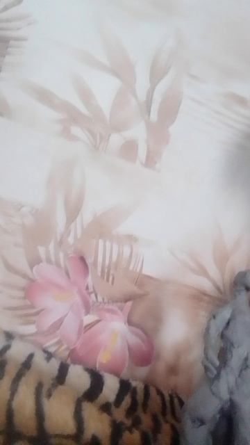 VID_20260421_082047.mp4