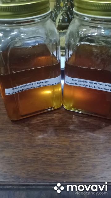 #Мёд-99%фальсификация(Эльфийский мёд из Кали-Юги)