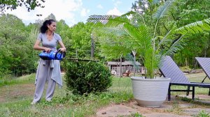 Ландшафтный Дизайн Около Бассейна | Коллективная Работа | Ранний Подарок На День Рождения 🎁 | Эгине