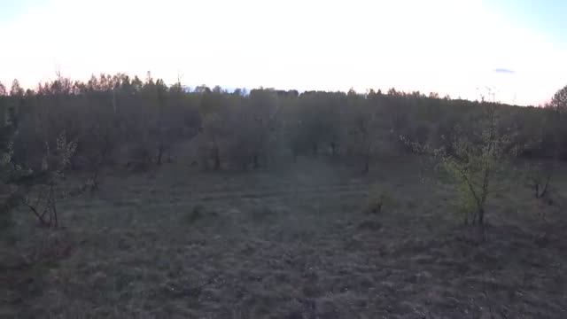 ОХОТА НА ВАЛЬДШНЕПА, КЛАССНАЯ