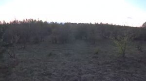 ОХОТА НА ВАЛЬДШНЕПА, КЛАССНАЯ