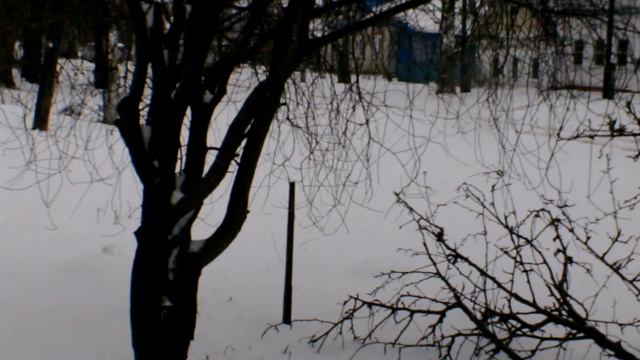 Апрель . 20 2026 года