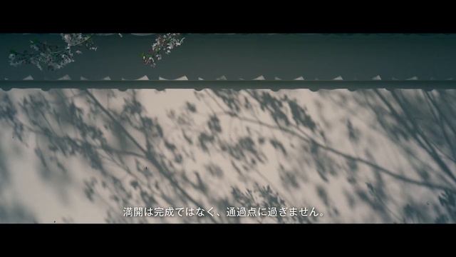 The Shifting Beauty Of Sakura   SONY A7V   Zeiss 16-35mm