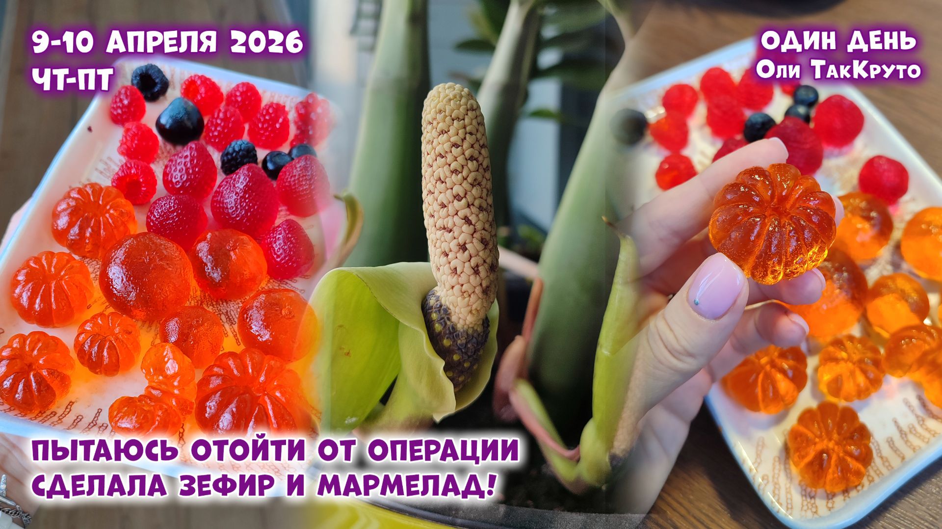 Как сделать зефир и мармелад дома? Рецепт мармелада. 9-10 апреля 2026. Дни с Олей ТакКруто