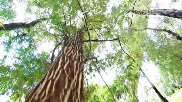 Зарисовки на берегу с Insta360