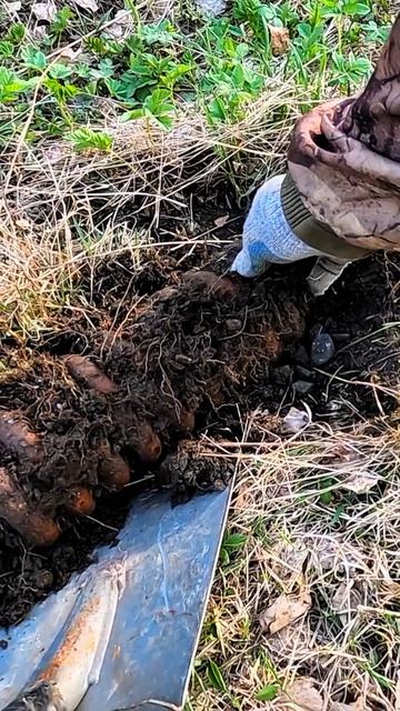 Такая находка