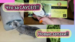 16.11.2024 ЗАЛЕТЕЛА в окно!😳САУСЕП-что за фрукт такой_🍈Домик Саймона.🏚Икра из помидор-пробую.