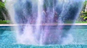 весёлое приключение для детей