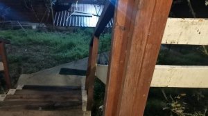 СОЧИ ГОРНОЕ ЛОО УТРО 21.04.2026