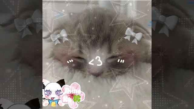 приветствие!!