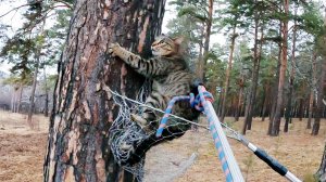 Миля... и ещё одна