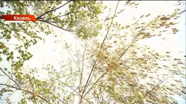 Непогода в Татарстане: Прогноз на завтра — сильные дожди и мокрый снег