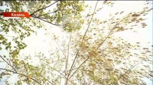 Непогода в Татарстане: Прогноз на завтра — сильные дожди и мокрый снег