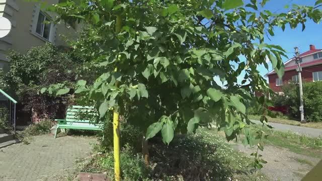 Влог от 10.08.2022