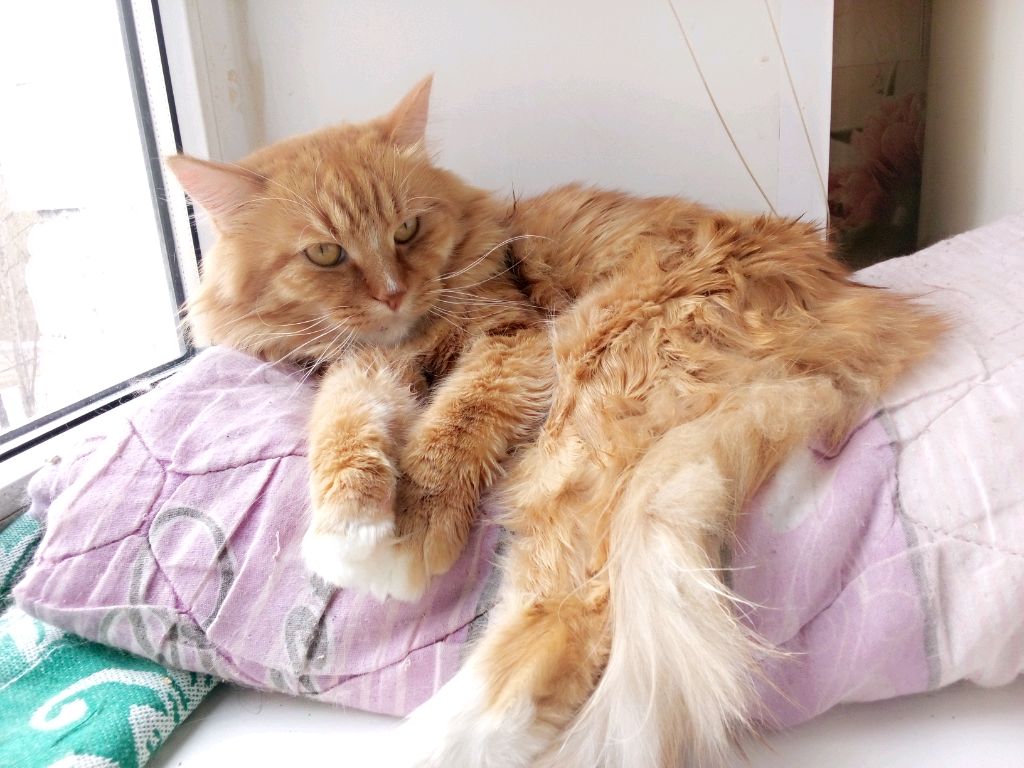 просто болтаем