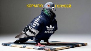 Как я кормил голубей. Они чуть меня не съели вместе с хлебом!