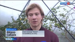 Лимонарий Новый Уренгой