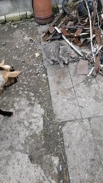 Тронула меня