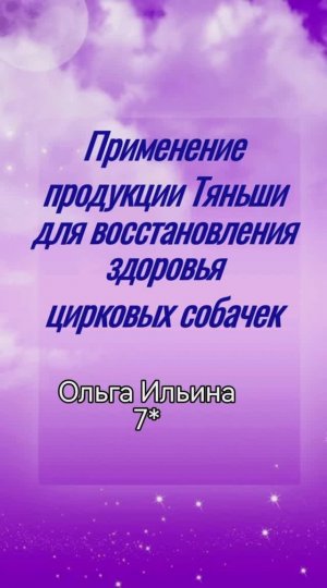 Применение продукции Тяньши для восстановления цирковых собачек