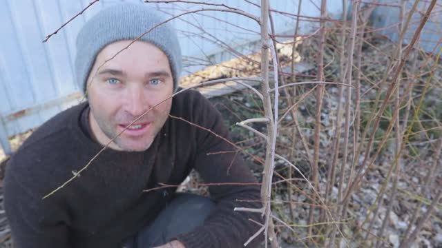 КАК ПРИВИВАЮ ПЛОДОВЫЕ ВЕСНОЙ. #ВиталийОрех #Виталий7соток