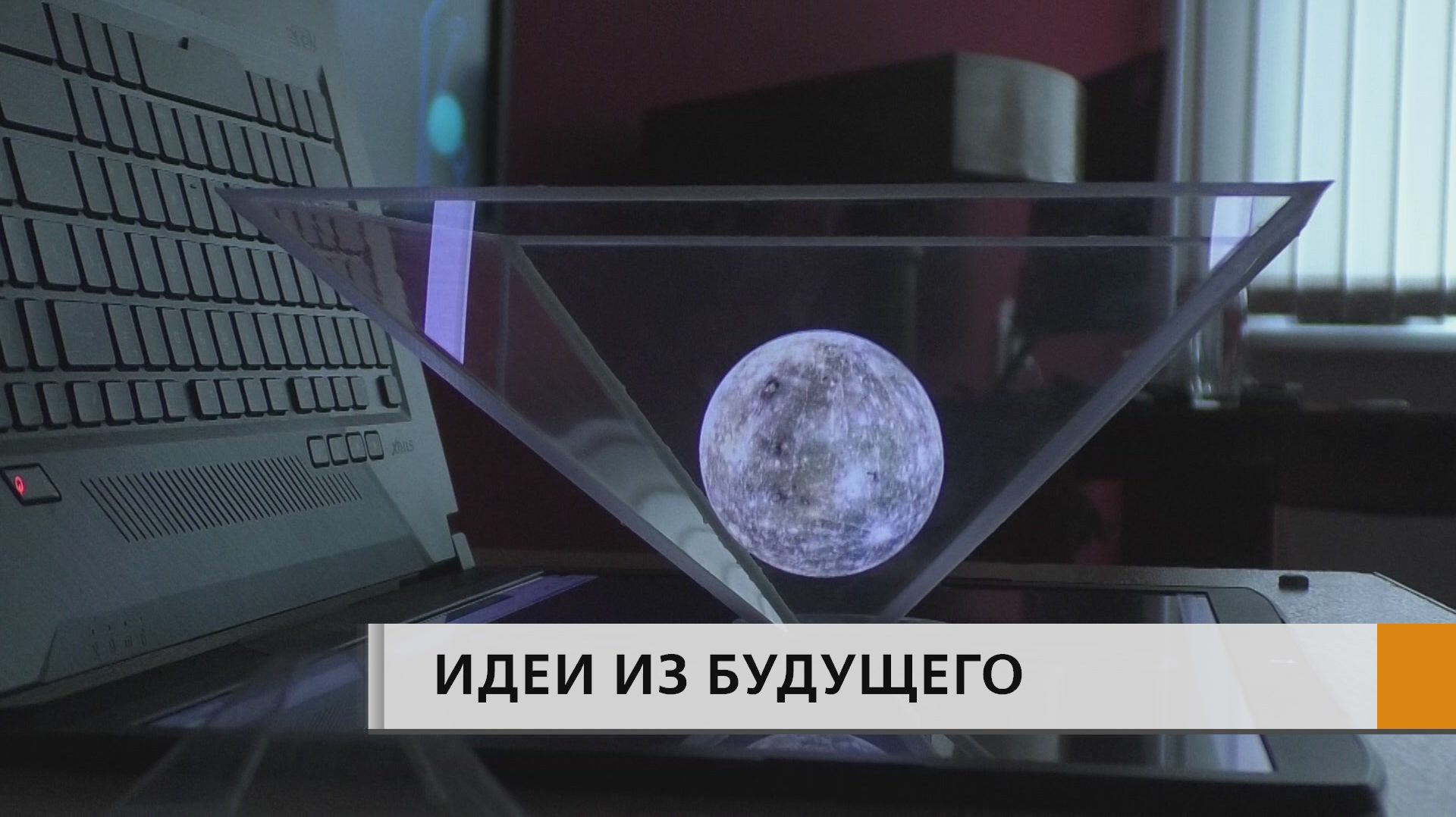 «Умный двор», пособие по выживанию в дикой природе