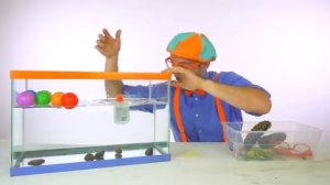 Утонет или всплывёт Блиппи на Русском Изучай этот Мир вместе с Блиппи Blippi [get.gt]