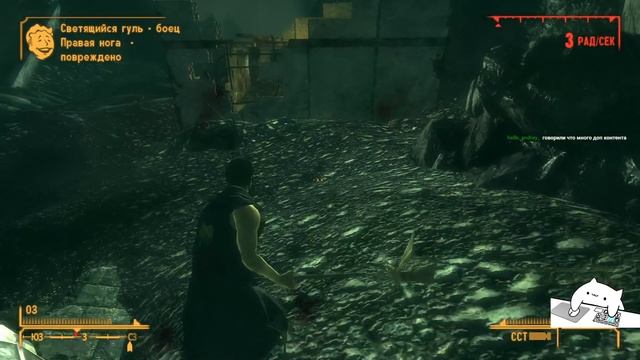 Fallout New Vegas | Заказ за баллы | 13