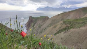 ПОХОДЫ ВЫХОДНОГО ДНЯ ДЛЯ КОЛЛЕКТИВА ФОНДА