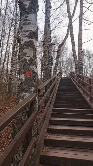 Взгляд сквозь природу. г. Галич 2026г