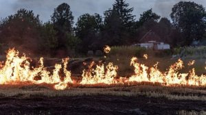 Природные пожары полыхают в Омской области и Алтайском крае