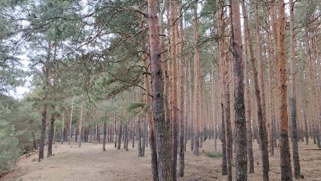 Очень неприятный случай в школе. Уважаем ли мы себя в работе по найму в организации?