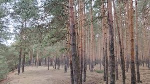 Очень неприятный случай в школе. Уважаем ли мы себя в работе по найму в организации?