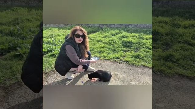 Алиса Неземная - ОТВЕЗЛИ КОЛЮ,КУПИЛИ НУЖНОЕ,ПОКОРМИЛИ КОТА😋