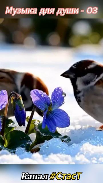 Музыка для души - 03