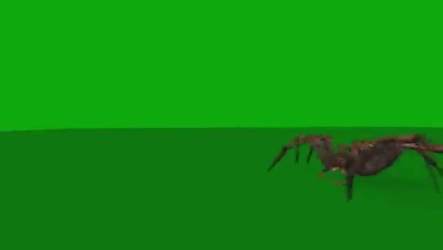 Mario VS Sonic Funny Animation Food Battle - Nintendo (game funny)