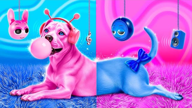 Мы спасли бездомную собаку! Строим секретную комнату для животных! Розовый vs синий!