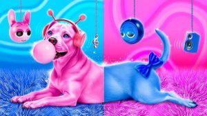 Мы спасли бездомную собаку! Строим секретную комнату для животных! Розовый vs синий!