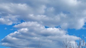 🪷🏵️🌼 Воспоминания вслух🌸💮💐