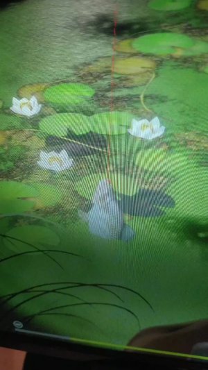 размот острог