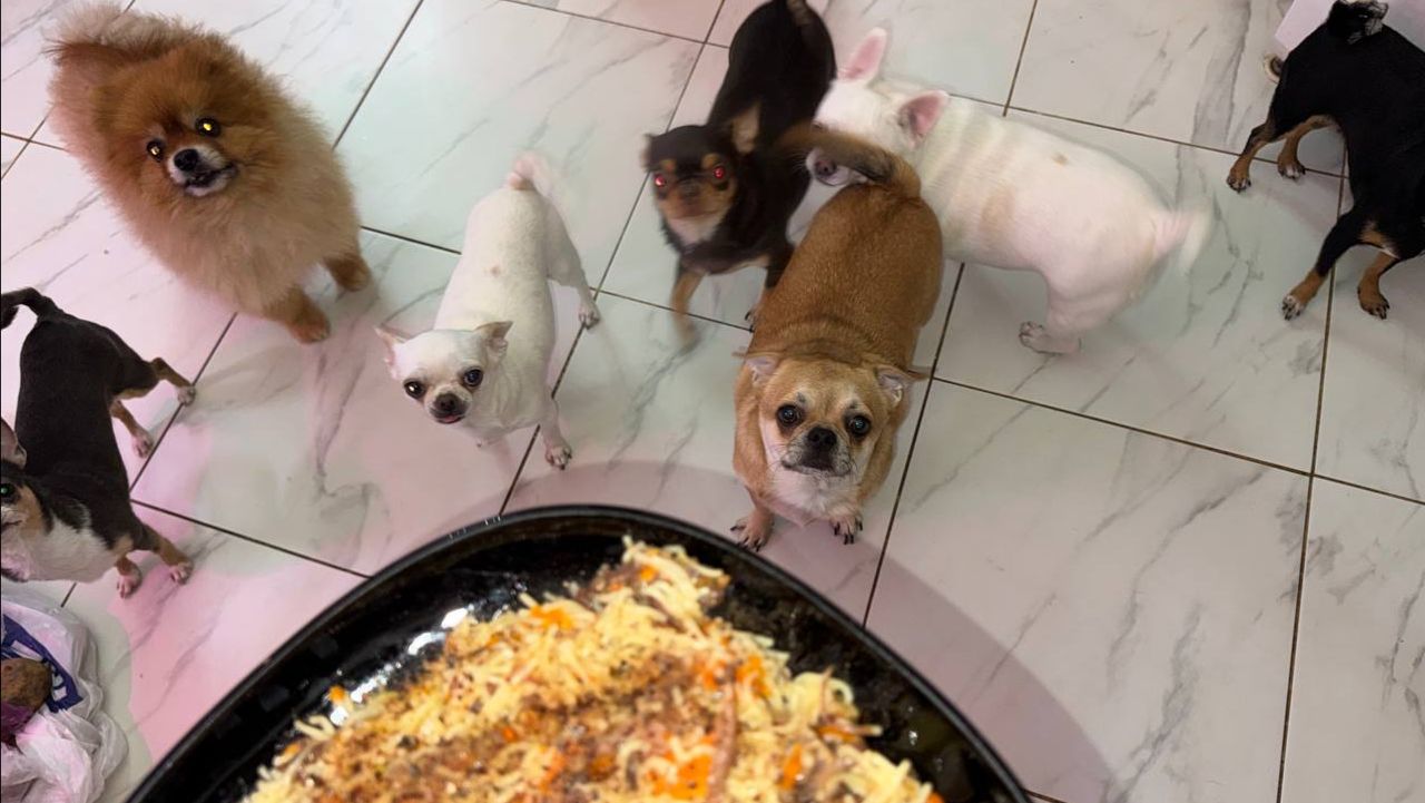 Пришло время плотно подкрепиться сегодня все маму радуют.