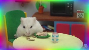 Подборка самых невероятных испытаний для хомяков. часть 1