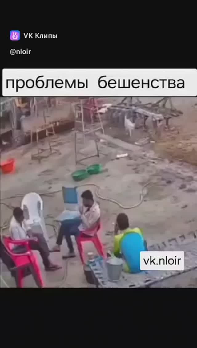 Бешеная или дерзкая? 🤔 Пёсель.