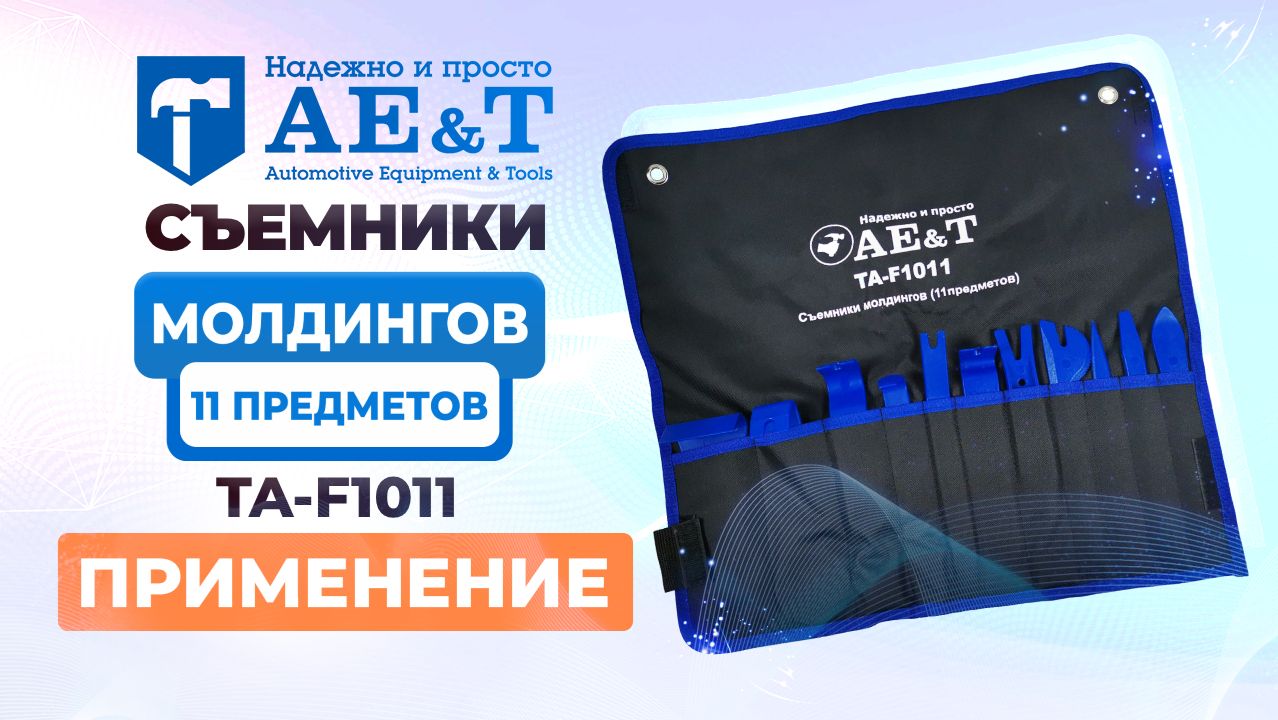 Съемники молдингов (11 предметов) TA-F1011 AE&T