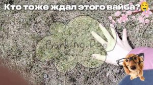 Есть такие?❤🤔