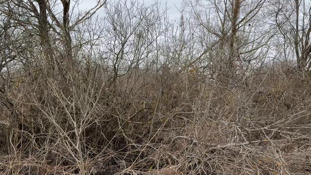 д Новотроицкое