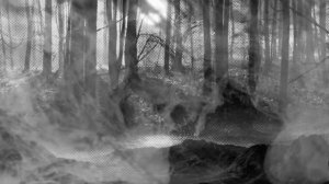 Лунная ночь..