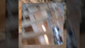 1000056801.mp4 (Собака наблюдает за устройством лестницы на 2-ой этаж в доме А-фрейм)