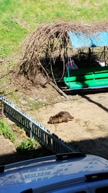 PXL_20260422_125726718