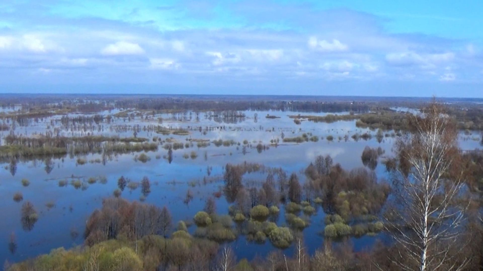 Пойма реки Клязьма в период весеннего половодья. Апрель 2026 года