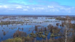 Пойма реки Клязьма в период весеннего половодья. Апрель 2026 года